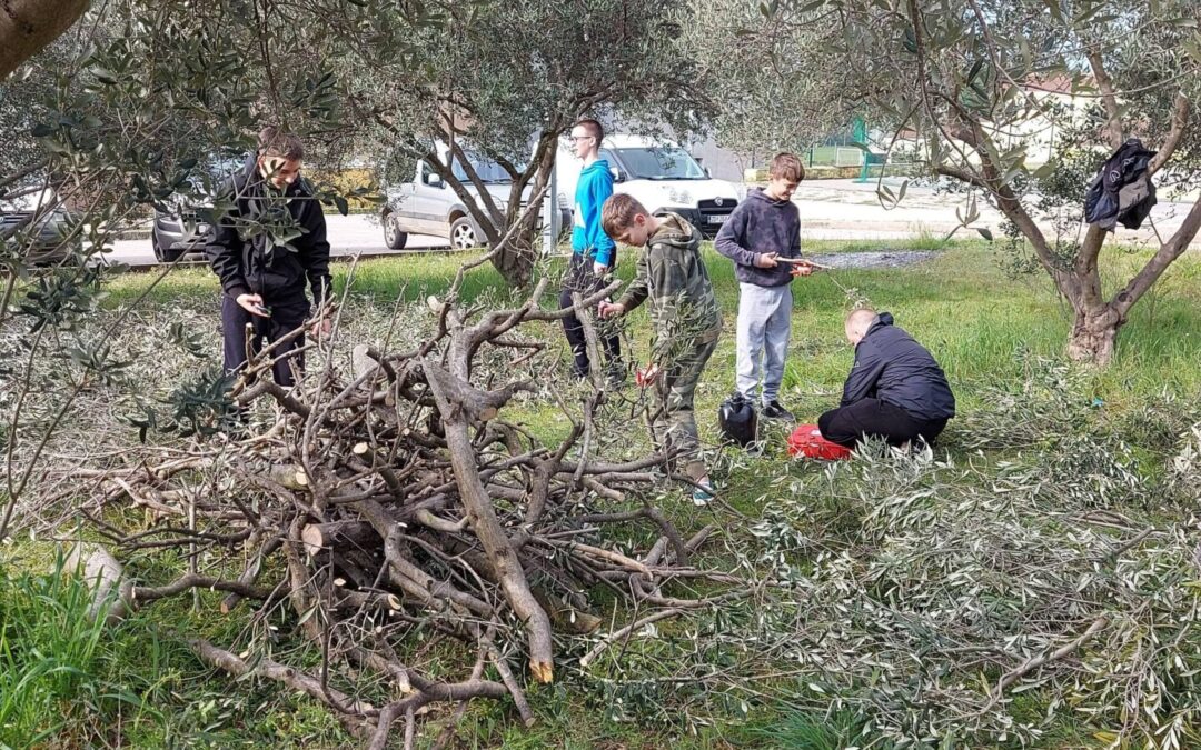 Divan i koristan dan u školskom masliniku